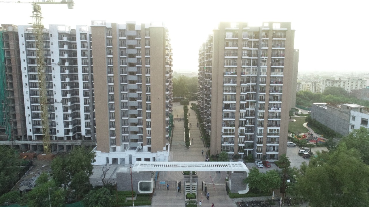 saviour_park_elite